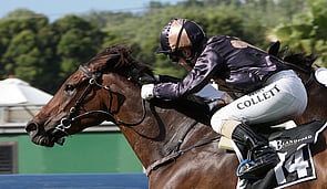 Miss Raggedy Ann - Faltaat x Miss Pollyanna