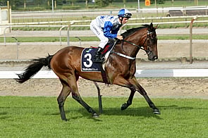 (Sir) Charles Road - Myboycharlie x Giant Mystique