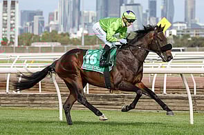 Virtuous Circle - Almanzor x She Is Stryking