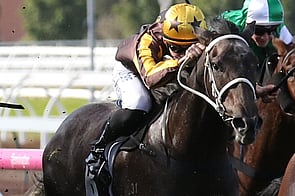 Sully - Reliable Man x Lady Winifred