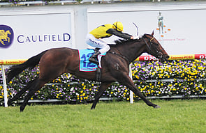 Bonnie Mac - Thorn Park x She's Golden Class