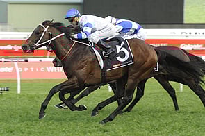 Kermadec - Teofilo x Hy Fuji