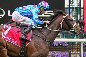 Manzoice - Almanzor x Choice