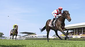 Pushy - Time Test x Angel Child