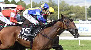 Joy Alone - Roc De Cambes x Optimum Note