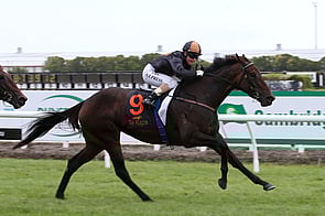 Valley Girl - Mastercraftsman x Leigh Valley