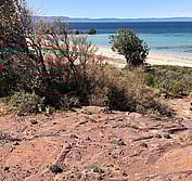 The new beach house was placed to avoid the native vegetation and rock features shown.