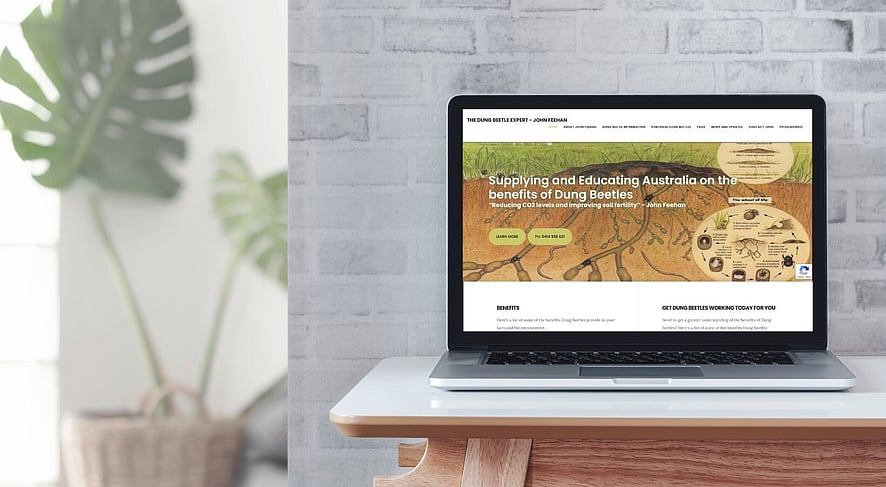 Your Web Presence Work: The Dung Beetle Expert Website on a Laptop