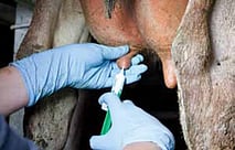 Farm Staff Training & Management