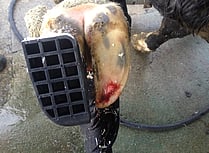 Applying a foot block