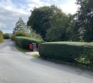 hedge cutting