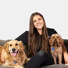 Augusta from Constructive Canines