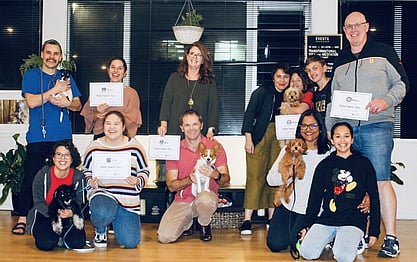 French Bulldog Training