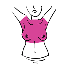 Check from the collarbone down to the base of your sternum and out into your armpits