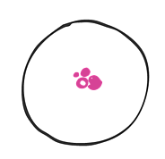 Look for a rash and or crusting of the nipple and surrounding areas