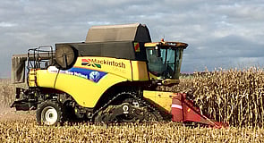 Maize harvesting with tracks
