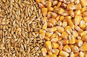 Lock in your feed costs now. We'll store it until you're ready to use it.