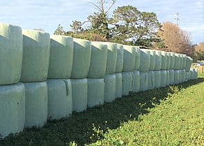 Baleage is seasonally available