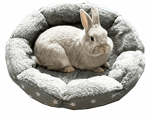 Bunny Bed - PRICE $19.99- - - - - - - - - -ADD TO CART >