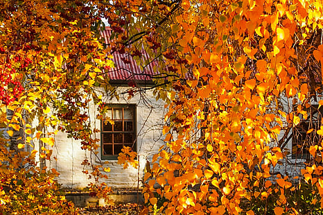 Crown Range Autumn Cottage 12"x18"