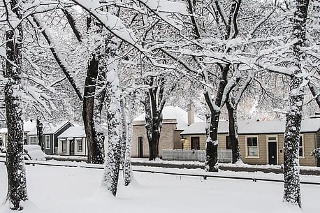Arrowtown Winter Snow 12"x18"