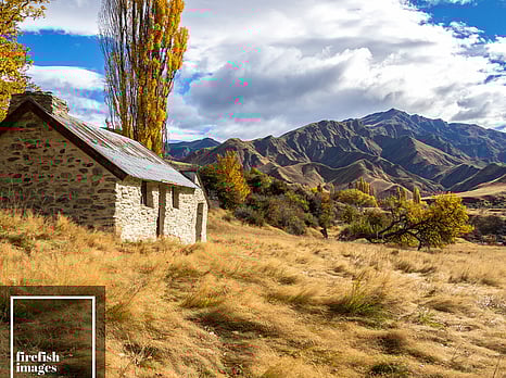 Macetown in Autumn 16"x20"