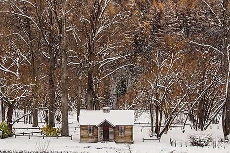 Arrowtown Old Gold Store Winter 12"x18"