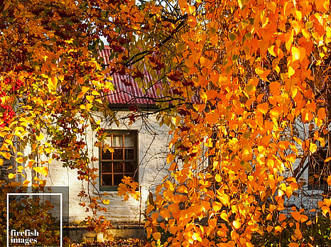 Crown Range Autumn Cottage 16"x20"