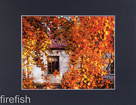 Crown Range Autumn Cottage