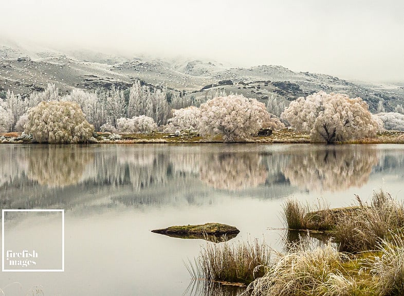 Butchers Dam Hoar Frost