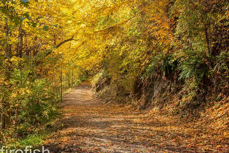 Arrow River Walk in Autumn