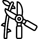 Pruning shears icons created by Smashicons - Flaticonhttps://www.flaticon.com/free-icons/pruning-shears