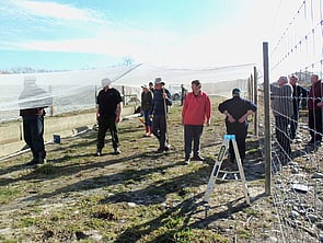 Fencing the Compound with Bird Proof Netting