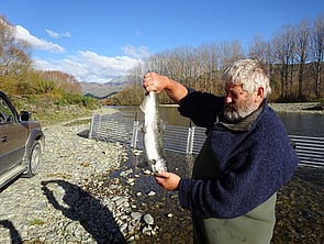 Hen Released from Trap