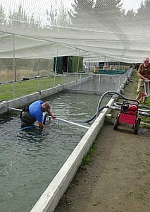 Vacuuming the Raceway at Bells Pond