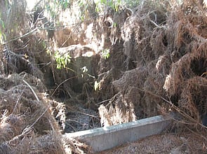 Bell's Pond Raceway Before