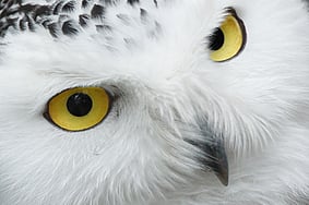 Manage and Follow up - We will monitor and report on your advertising plan activity and media channels, making recommendations for adjustment if or when required.