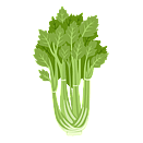 Contact Amber Garden Centre for your celery plants