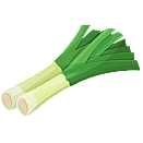 Contact Amber Garden Centre for your leek plants