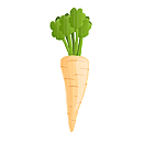 Contact Amber Garden Centre for your parsnip plants