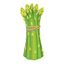 Contact Amber Garden Centre for your asparagus plants