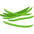 Contact Amber Garden Centre for your bean plants