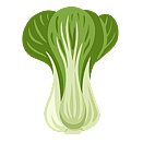 Contact Amber Garden Centre for your bok choy plants