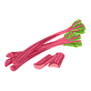 Contact Amber Garden Centre for your rhubarb plants