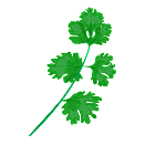 Contact Amber Garden Centre for your coriander plants