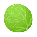 Contact Amber Garden Centre for your cabbage plants