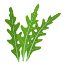 Contact Amber Garden Centre for your rocket plants