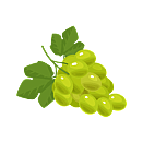 Contact Amber Garden Centre for your grape vines