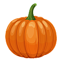 Contact Amber Garden Centre for you January Pumpkin