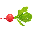 Contact Amber Garden Centre for you January Radish